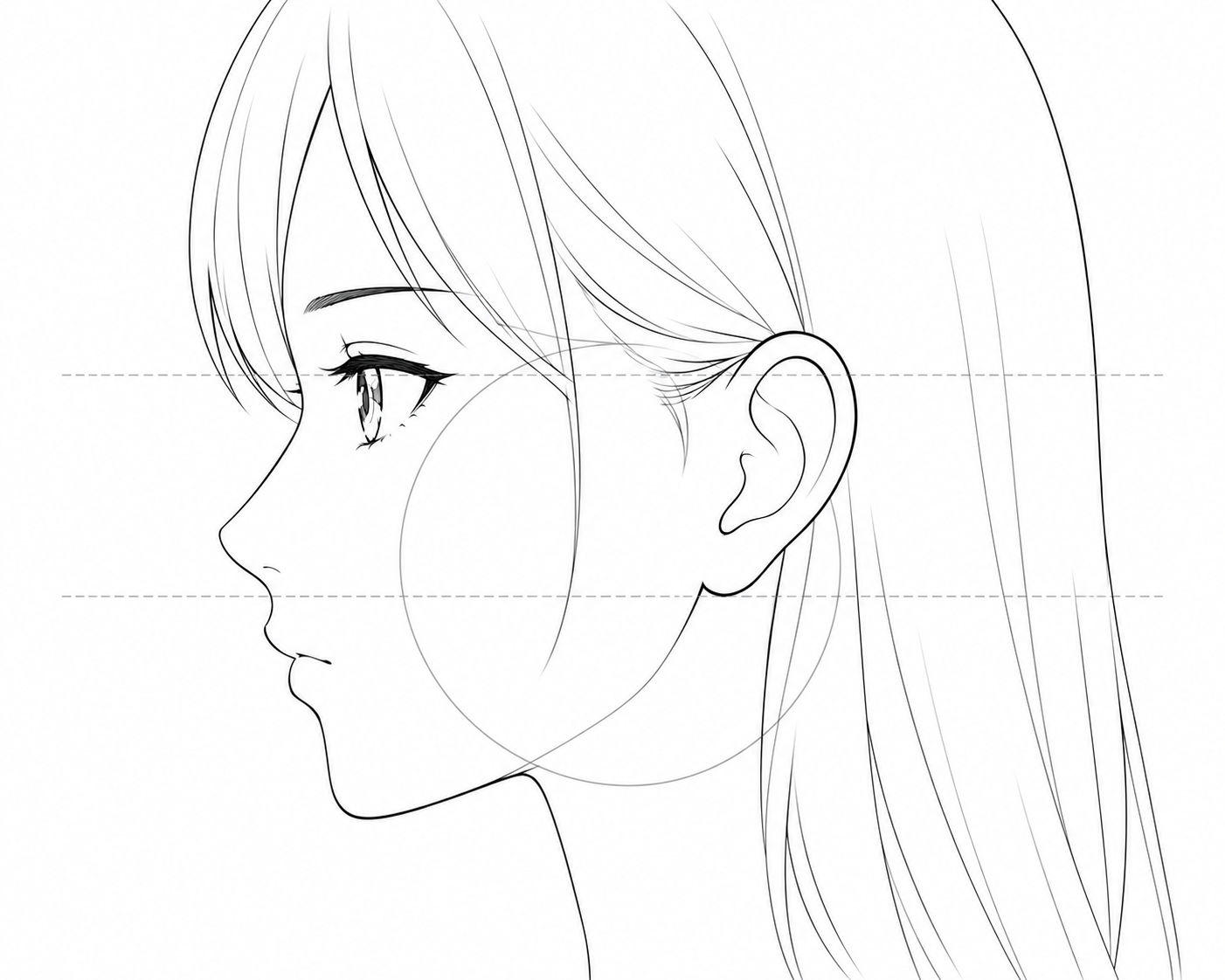 Step 5: Draw the Ear in Profile